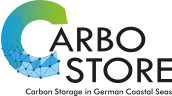 Logo Carbostore Rgb_