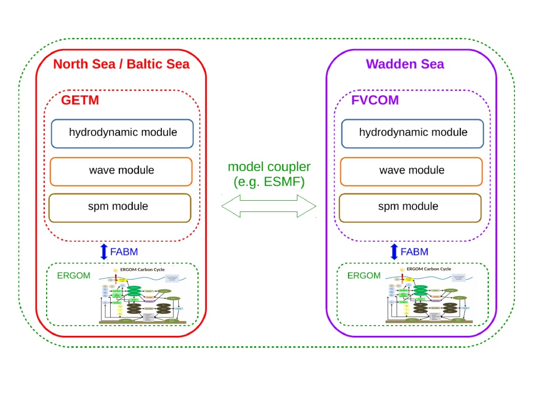 Illustration of the interactions between the North Sea / Baltic Sea model and the Wadden Sea model.