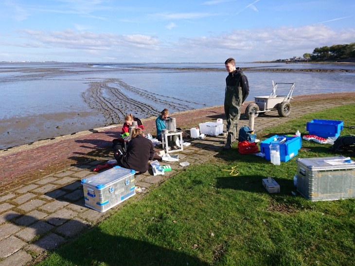 Scientists at work at the coast