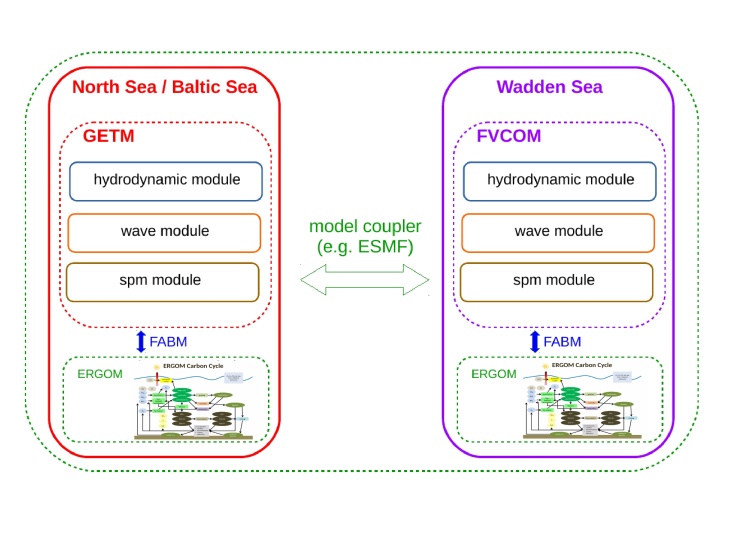 Darstellung der Wechselwirkungen zwischen dem Nord-/Ostseemodell (NS-BS) und dem Wattenmeermodell (WS) einschließlich ihrer Submodule für Biogeochemie, Schwebstoffe und Oberflächenschwerewellen. 