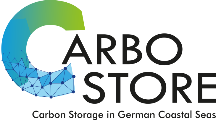 Logo Carbostore